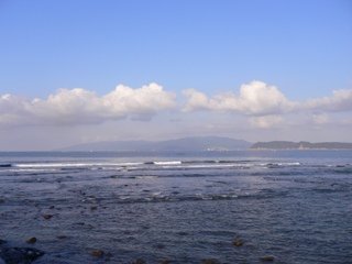 a0008549_2027316.jpg
