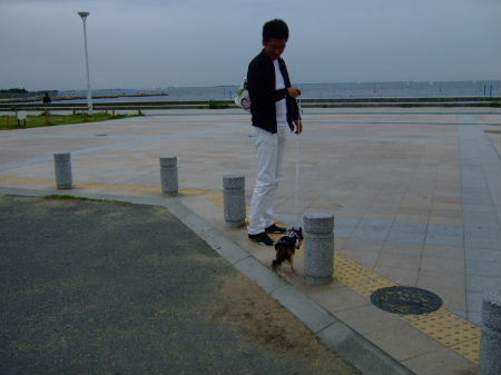 e0088654_2324795.jpg