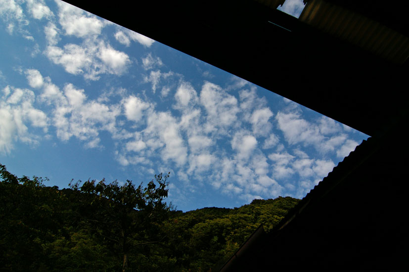 d0100156_2303224.jpg