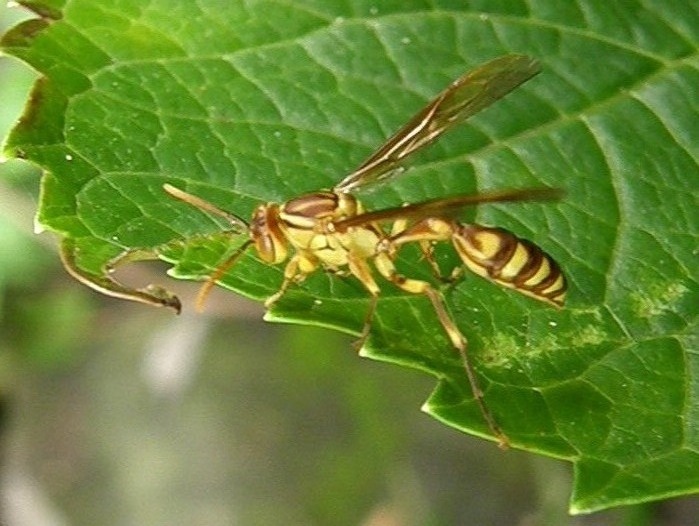 e0064158_0353375.jpg