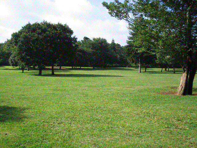 d0100459_8463422.gif