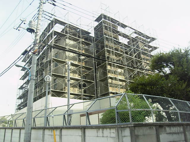e0083359_1631943.jpg