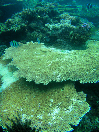 b0062363_215235.jpg