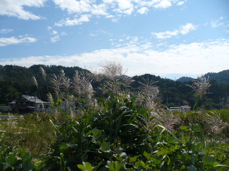 a0063364_13283938.jpg