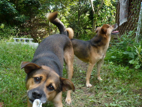 a0063364_14152757.jpg