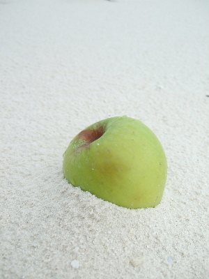 d0102664_1354125.jpg