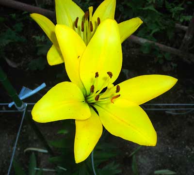 e0097770_2131596.jpg