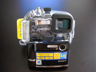 a0002177_23124376.jpg