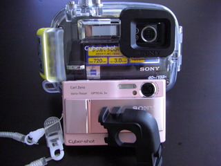 a0002177_2322324.jpg