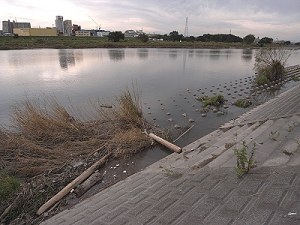c0091679_111616.jpg