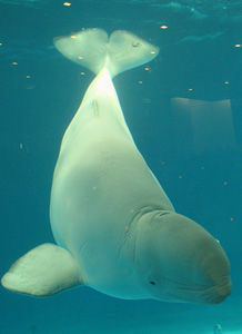 c0029281_22595892.jpg