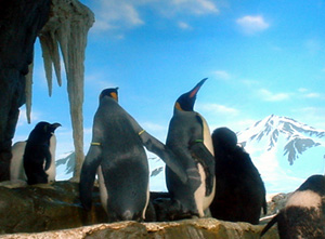 c0029281_2315875.jpg
