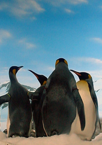 c0029281_2322621.jpg