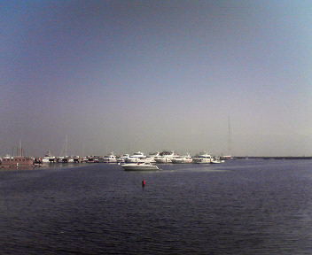 d0056881_21562782.jpg