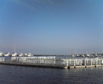 d0056881_2156935.jpg