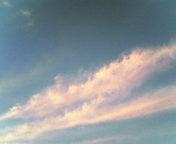 d0056881_2159174.jpg