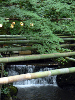 b0014587_10473167.jpg