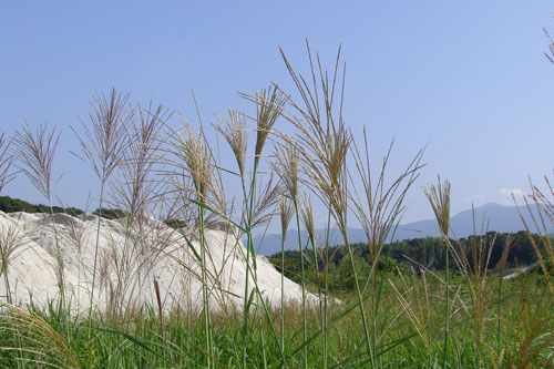 d0133489_22313055.jpg