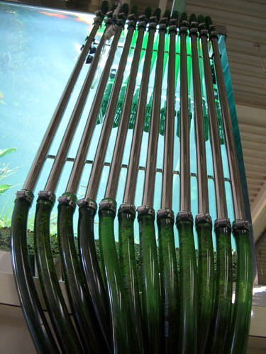 a0049090_20373552.jpg