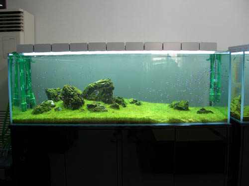 a0049090_20423885.jpg