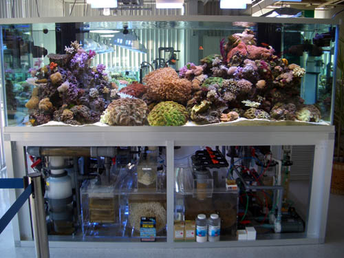 a0049090_20514785.jpg