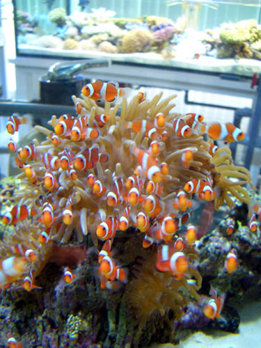 a0049090_20545350.jpg