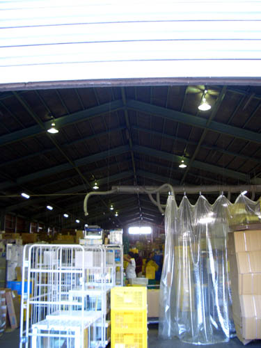a0049090_212877.jpg