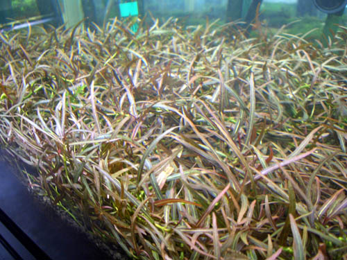 a0049090_21375920.jpg