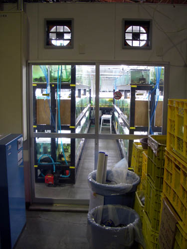 a0049090_2142622.jpg