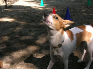 c0123890_20445154.jpg