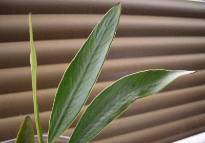 c0074591_13591689.jpg