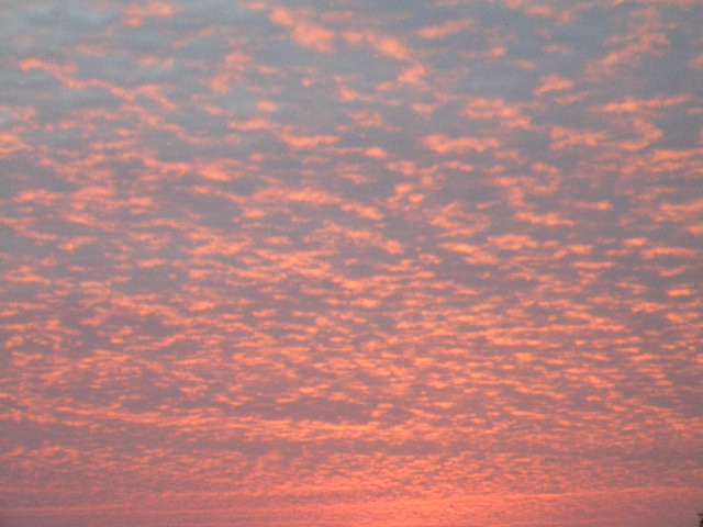 c0120591_22242375.jpg