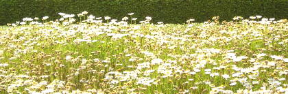 a0019094_1773273.jpg