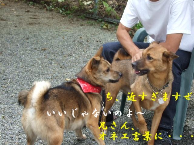 b0087400_2341135.jpg