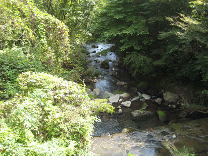 b0097200_20105858.jpg