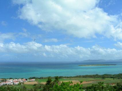 e0123800_1331620.jpg