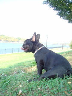 e0039002_11852100.jpg