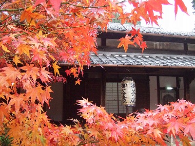 f0147602_16184165.jpg