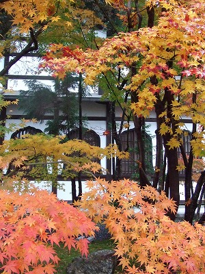 f0147602_16191061.jpg