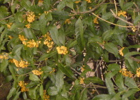 b0114403_2252791.jpg