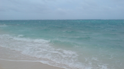 c0068403_21303325.jpg