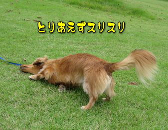 b0044804_1024391.jpg