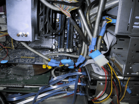 a0006605_1373185.gif