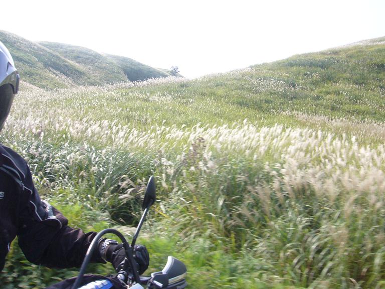 f0061705_23243072.jpg