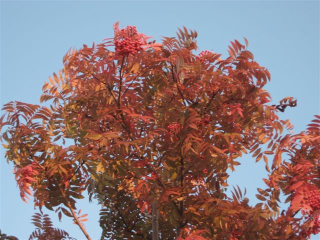d0126708_19511424.jpg