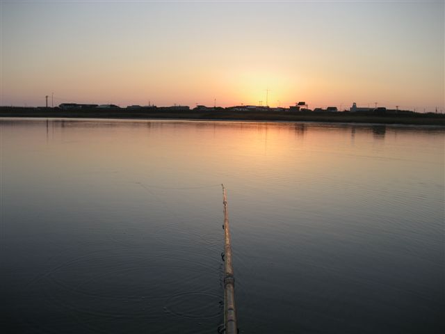 d0126708_19521396.jpg