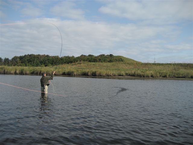 d0126708_19525033.jpg