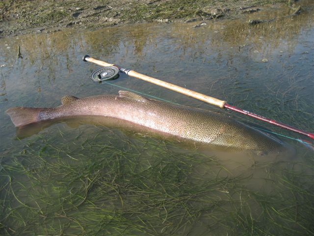 d0126708_200205.jpg