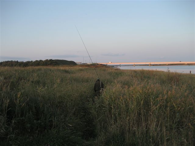 d0126708_205723.jpg