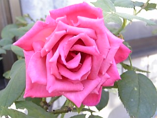 e0098908_21275444.jpg